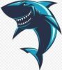 DigitalShark.net
